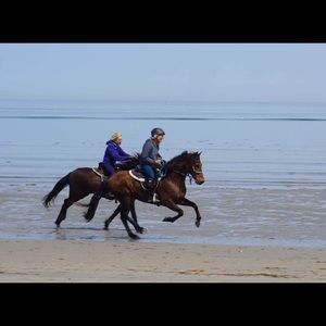 Meet your Posher, Laurie